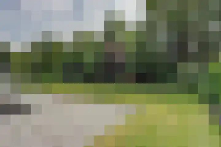Fabriciuslaan 60 Drachten thumbnail 33