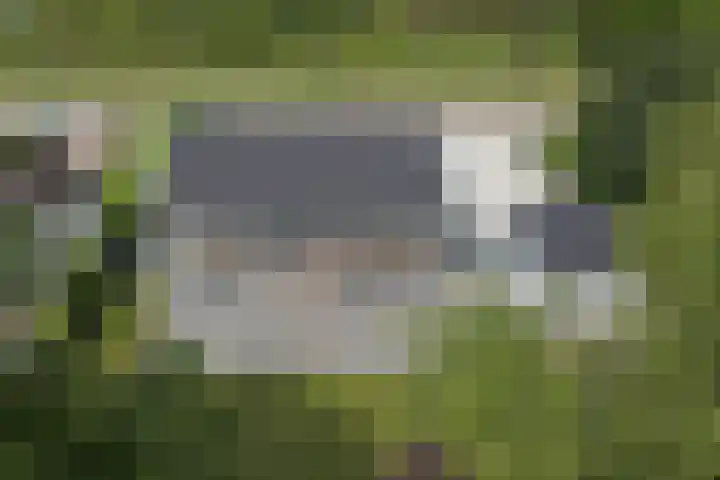 Fabriciuslaan 60 Drachten thumbnail 36