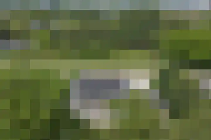 Fabriciuslaan 60 Drachten thumbnail 37