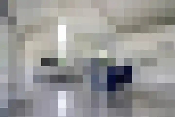 Fabriciuslaan 60 Drachten thumbnail 8