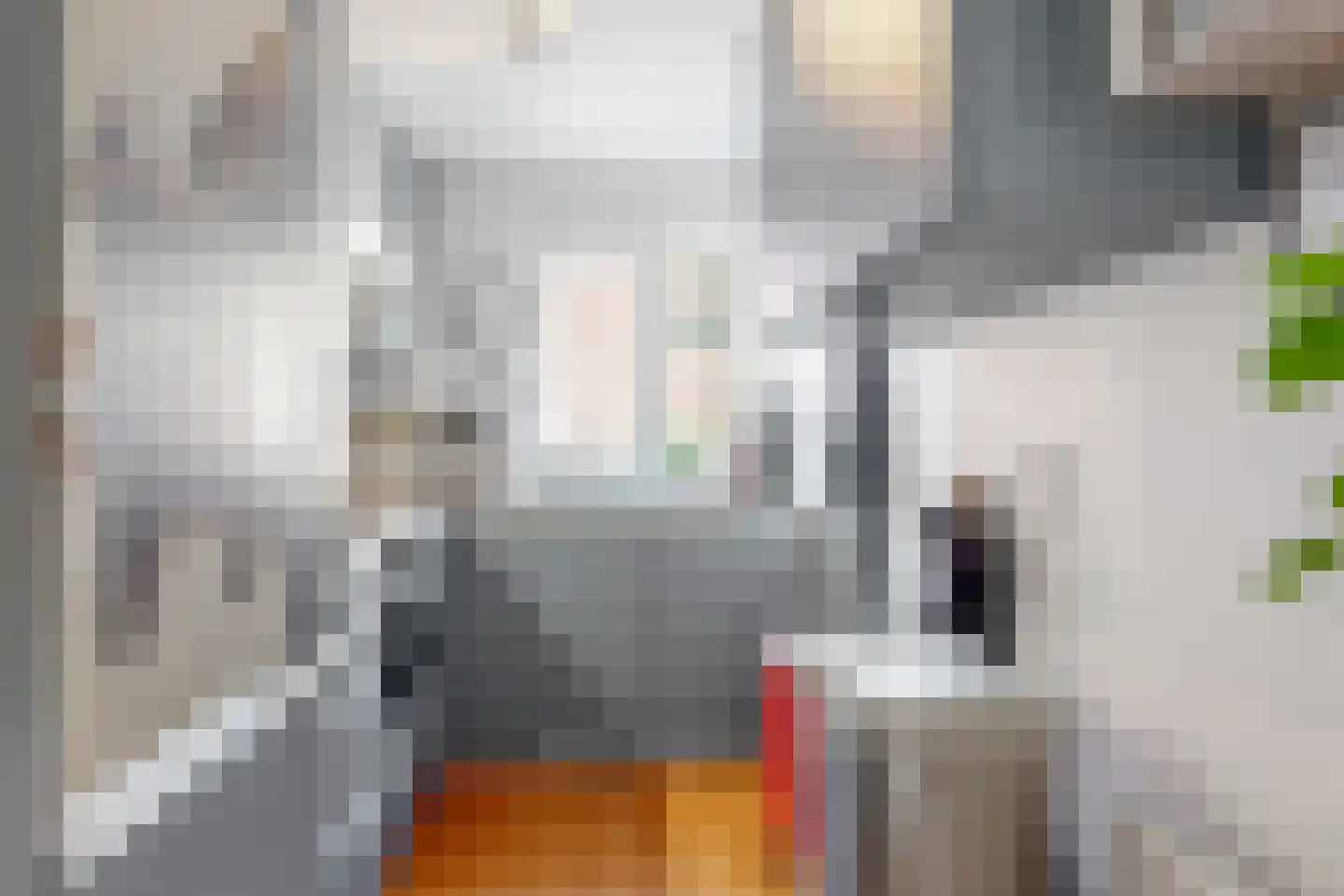 Fabriciusstraat 23 Haarlem thumbnail 10