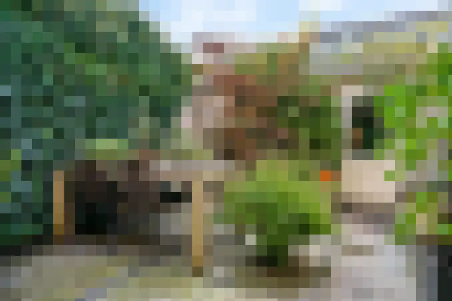 Fabriciusstraat 23 Haarlem thumbnail 28