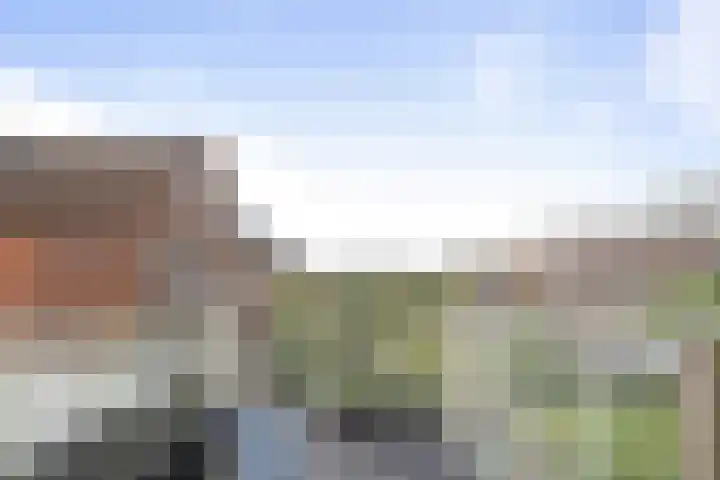 Fabriciusstraat 6 Haarlem thumbnail 22