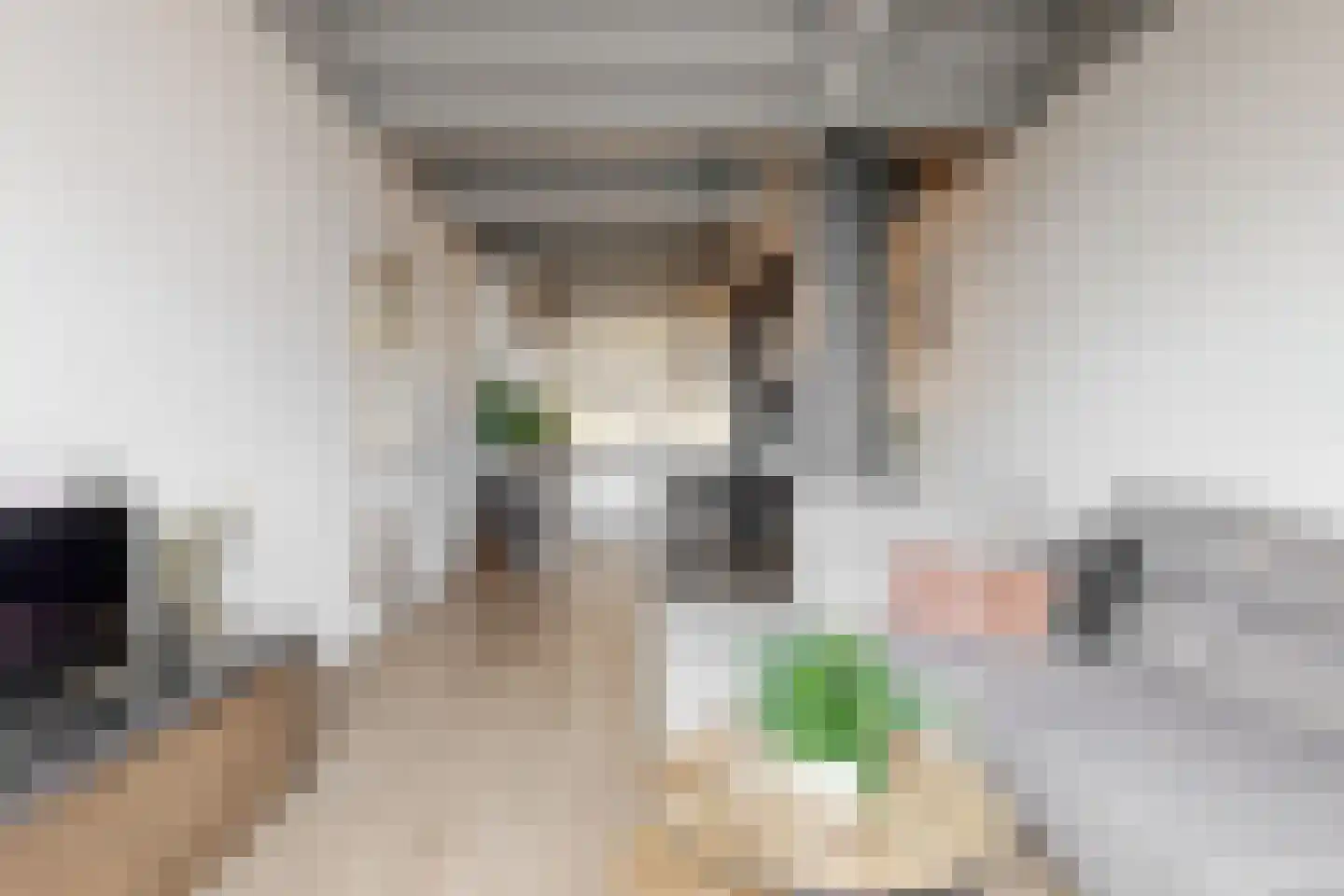 Fabriekserf 14 Alkmaar thumbnail 11