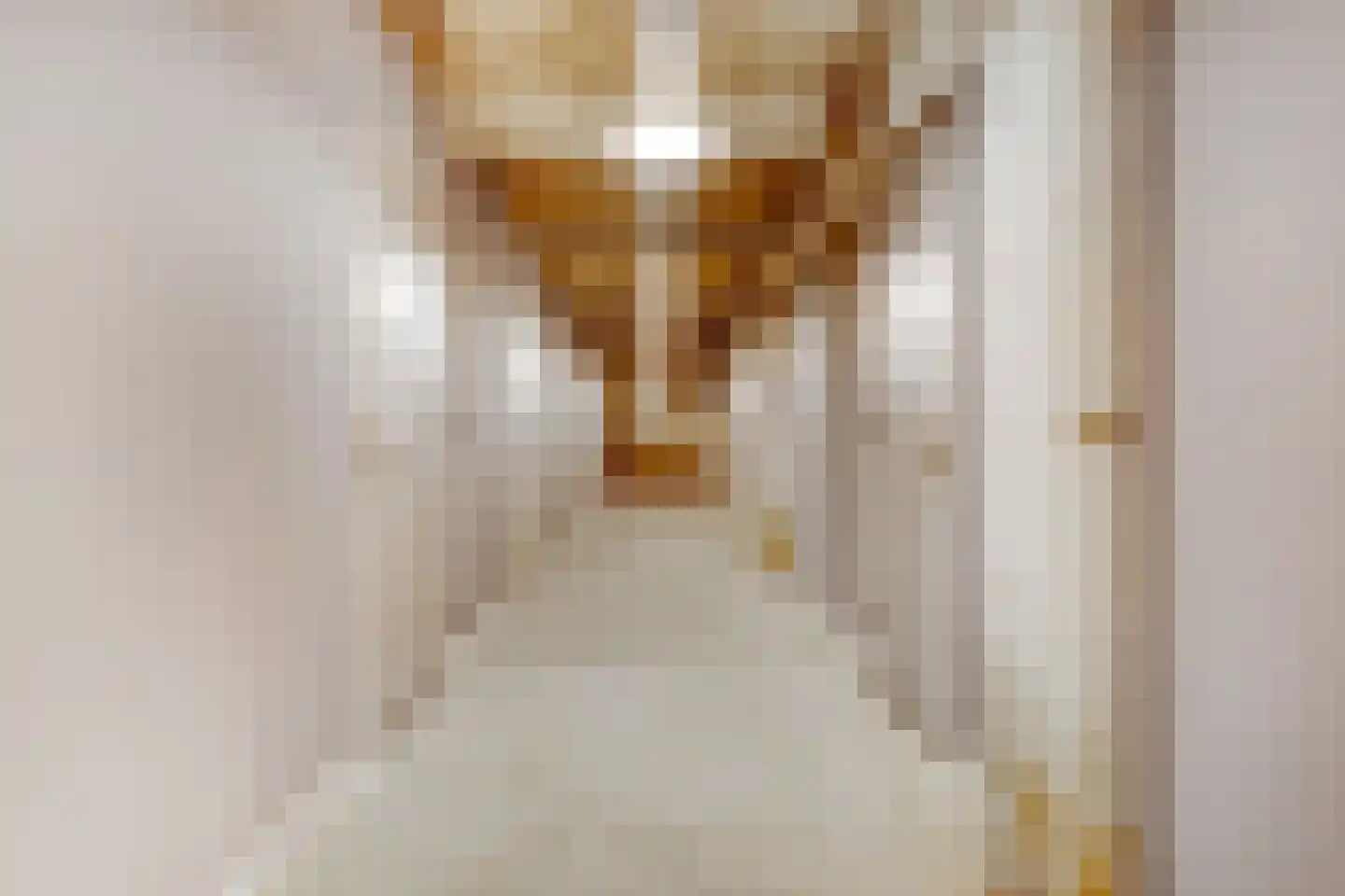 Fabriekserf 14 Alkmaar thumbnail 24