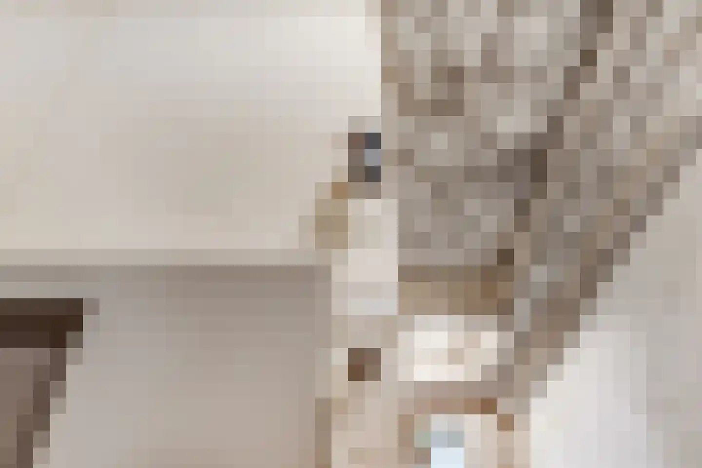 Fabriekserf 14 Alkmaar thumbnail 8
