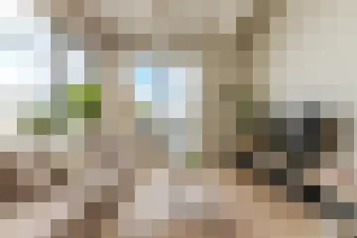 Fabriekserf 19 Alkmaar thumbnail 10