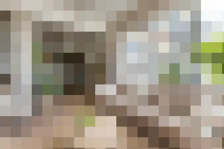 Fabriekserf 19 Alkmaar thumbnail 11