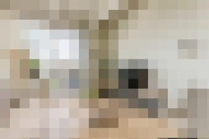 Fabriekserf 19 Alkmaar thumbnail 12