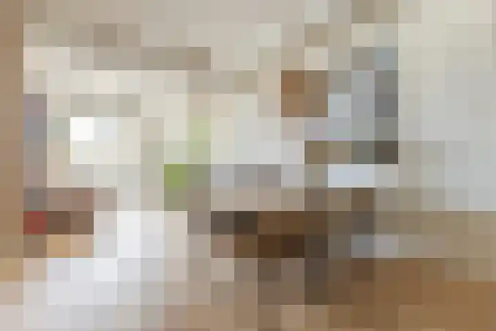 Fabriekserf 19 Alkmaar thumbnail 13