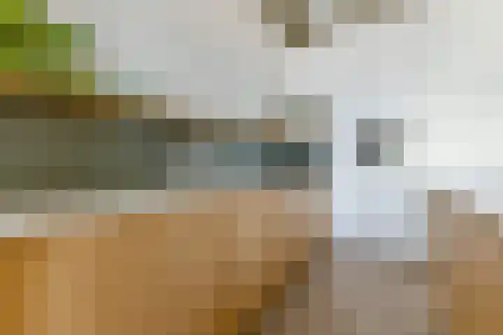 Fabriekserf 19 Alkmaar thumbnail 16