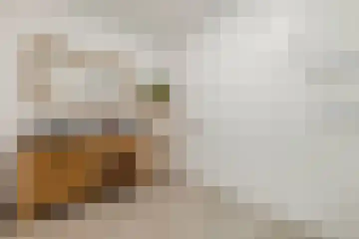 Fabriekserf 19 Alkmaar thumbnail 23