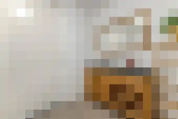 Fabriekserf 19 Alkmaar thumbnail 24