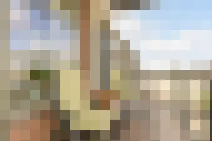 Fabriekserf 19 Alkmaar thumbnail 25