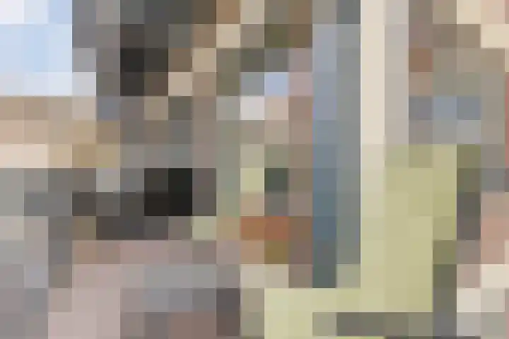 Fabriekserf 19 Alkmaar thumbnail 26