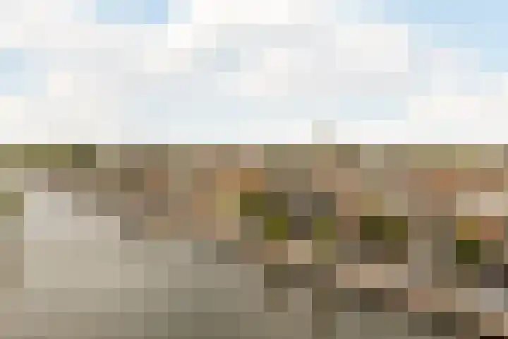 Fabriekserf 19 Alkmaar thumbnail 29