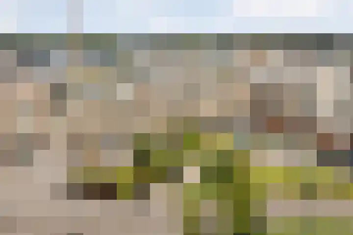 Fabriekserf 19 Alkmaar thumbnail 30