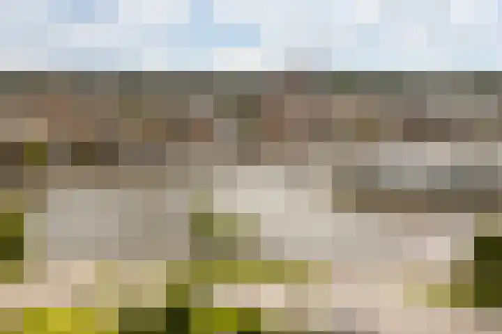 Fabriekserf 19 Alkmaar thumbnail 31