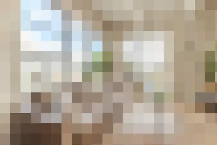 Fabriekserf 19 Alkmaar thumbnail 34
