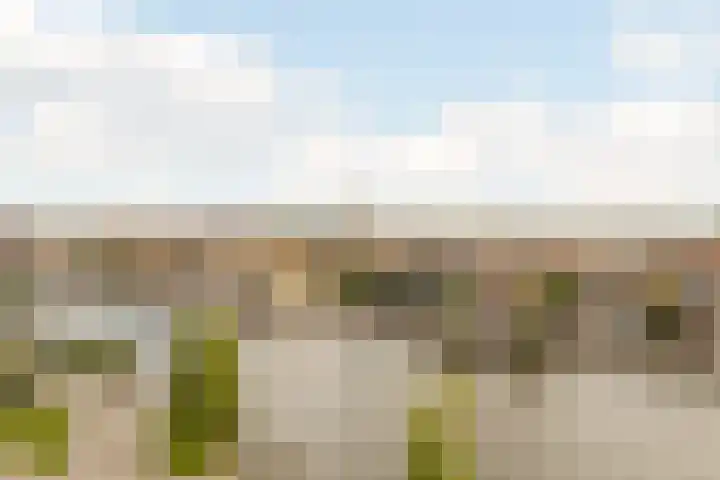 Fabriekserf 19 Alkmaar thumbnail 5