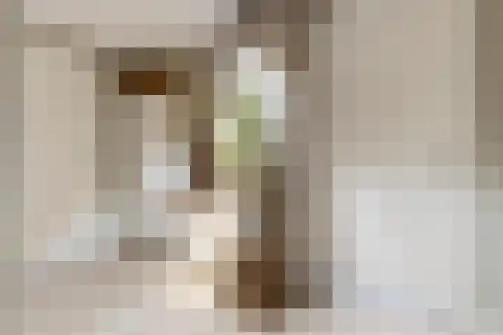 Fabriekserf 19 Alkmaar thumbnail 8