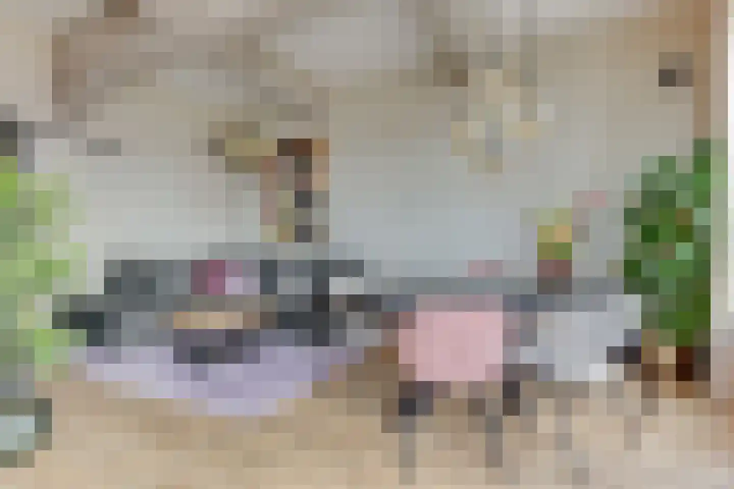 Fabriekserf 22 Alkmaar thumbnail 10