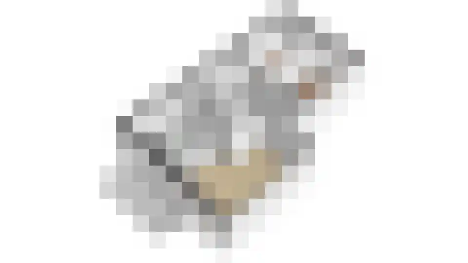 Fabriekserf 22 Alkmaar thumbnail 43