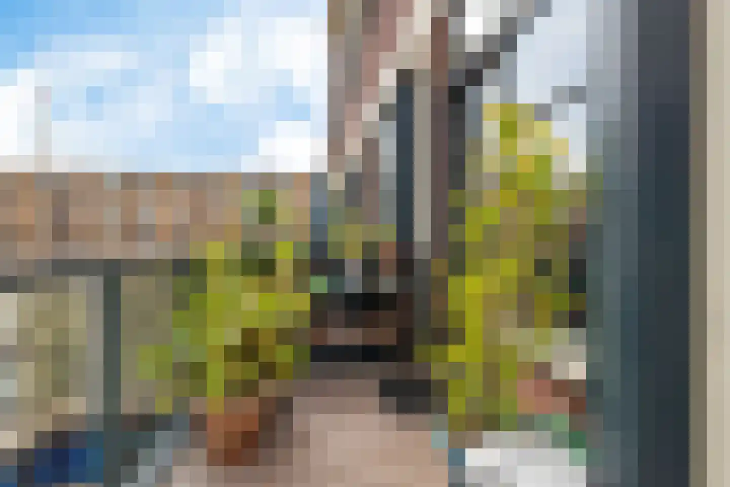 Fabriekserf 32 Alkmaar thumbnail 10
