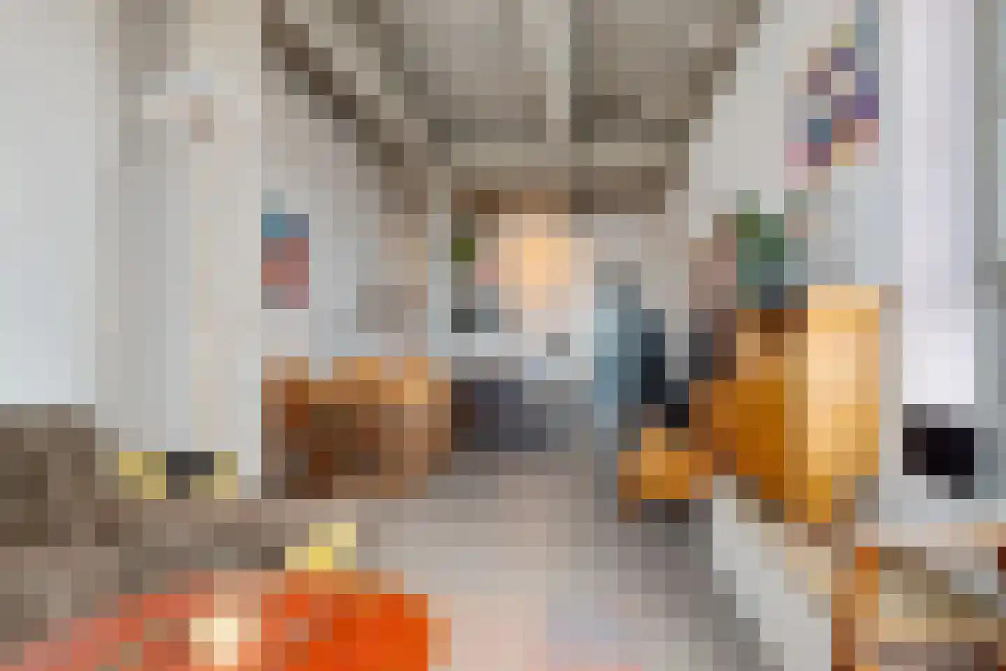 Fabriekserf 32 Alkmaar thumbnail 12