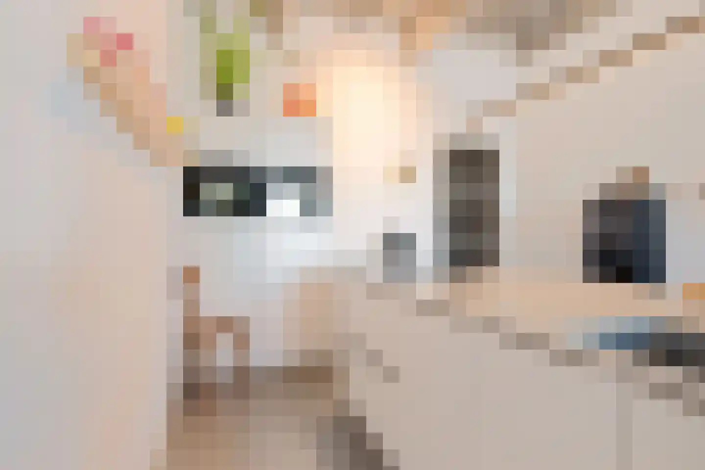 Fabriekserf 32 Alkmaar thumbnail 19