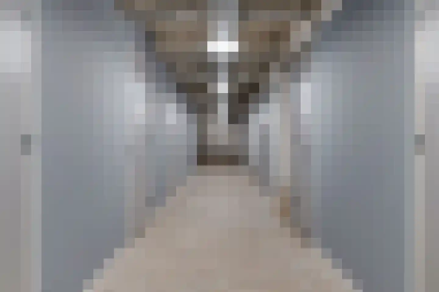 Fabriekserf 32 Alkmaar thumbnail 33