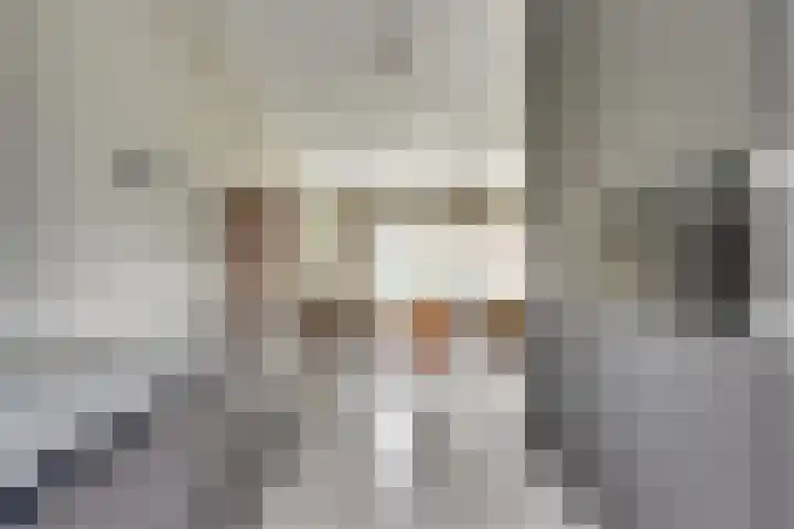 Fabriekslaan 29 Uden thumbnail 12