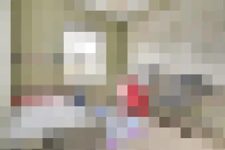 Fabriekslaan 29 Uden thumbnail 19