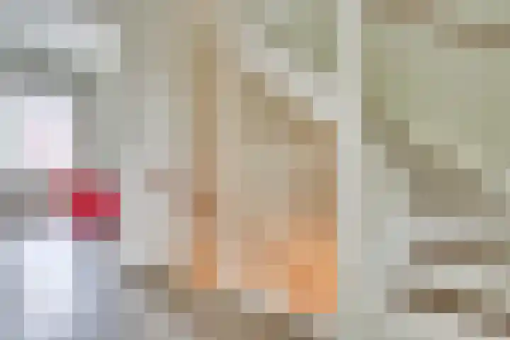 Fabriekslaan 29 Uden thumbnail 23