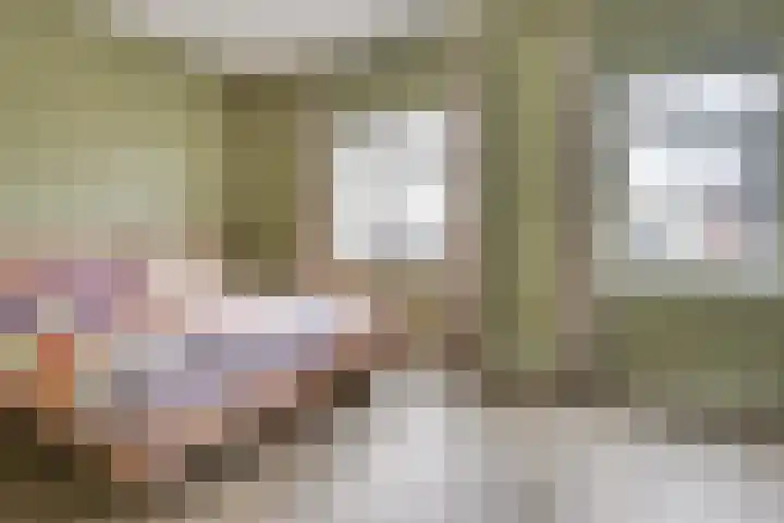 Fabriekslaan 29 Uden thumbnail 27