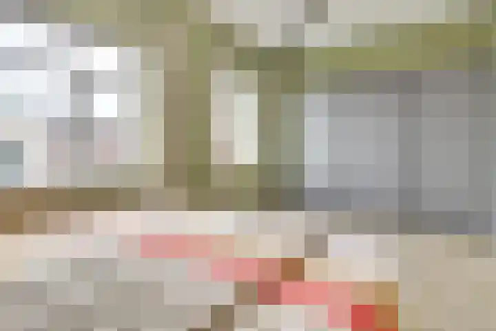 Fabriekslaan 29 Uden thumbnail 28