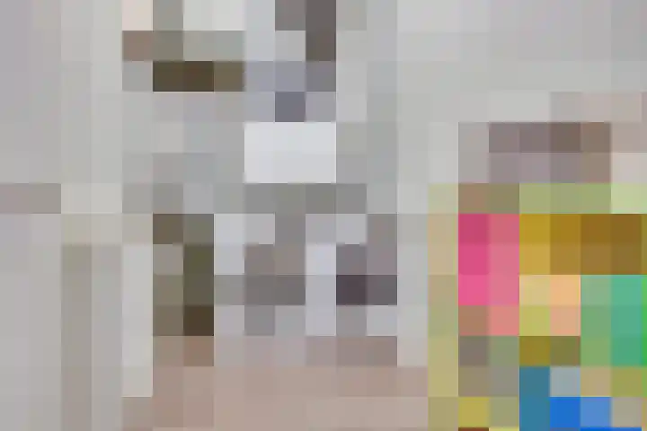 Fabriekslaan 29 Uden thumbnail 29