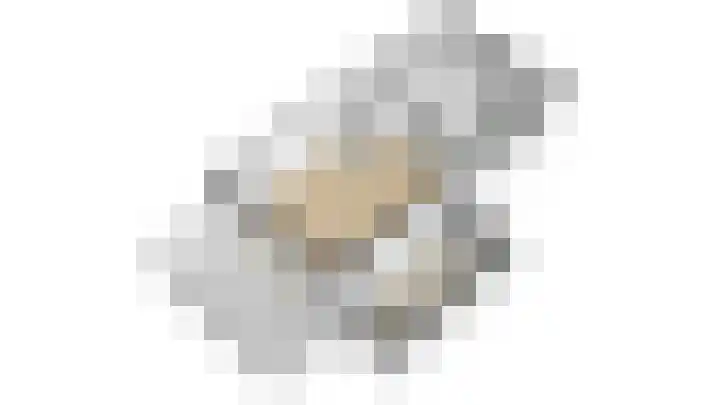 Fabriekslaan 29 Uden thumbnail 37