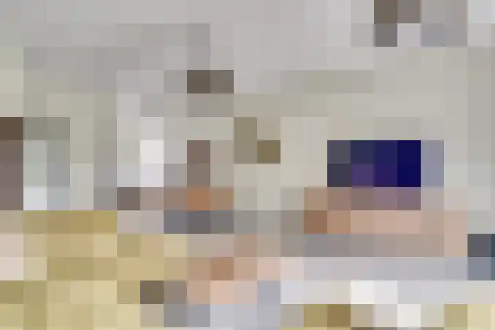 Fabriekslaan 29 Uden thumbnail 8