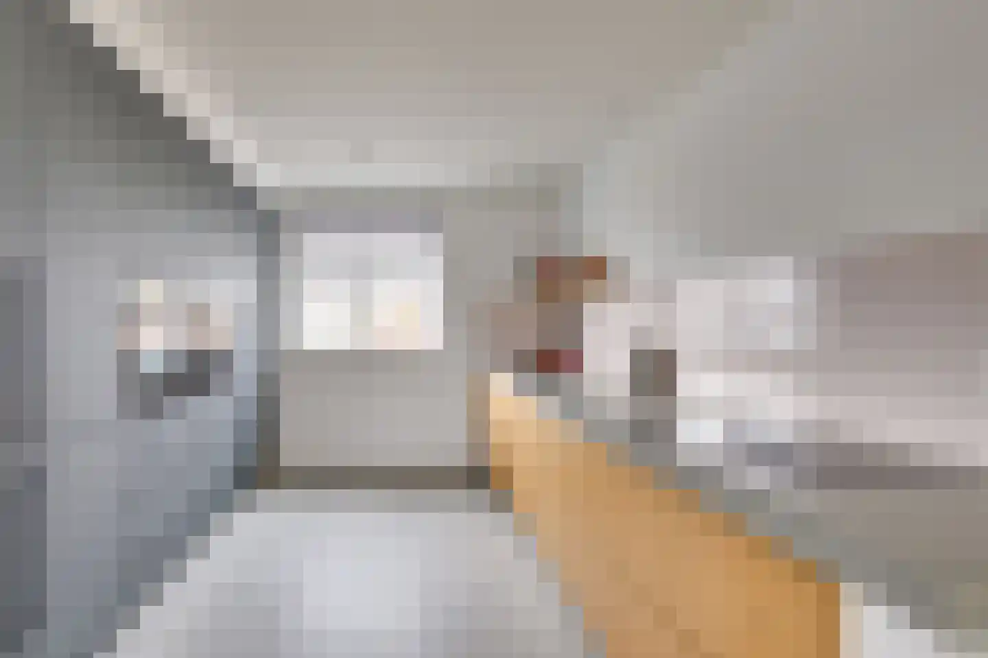 Fabriekslaan 5 Uden thumbnail 10