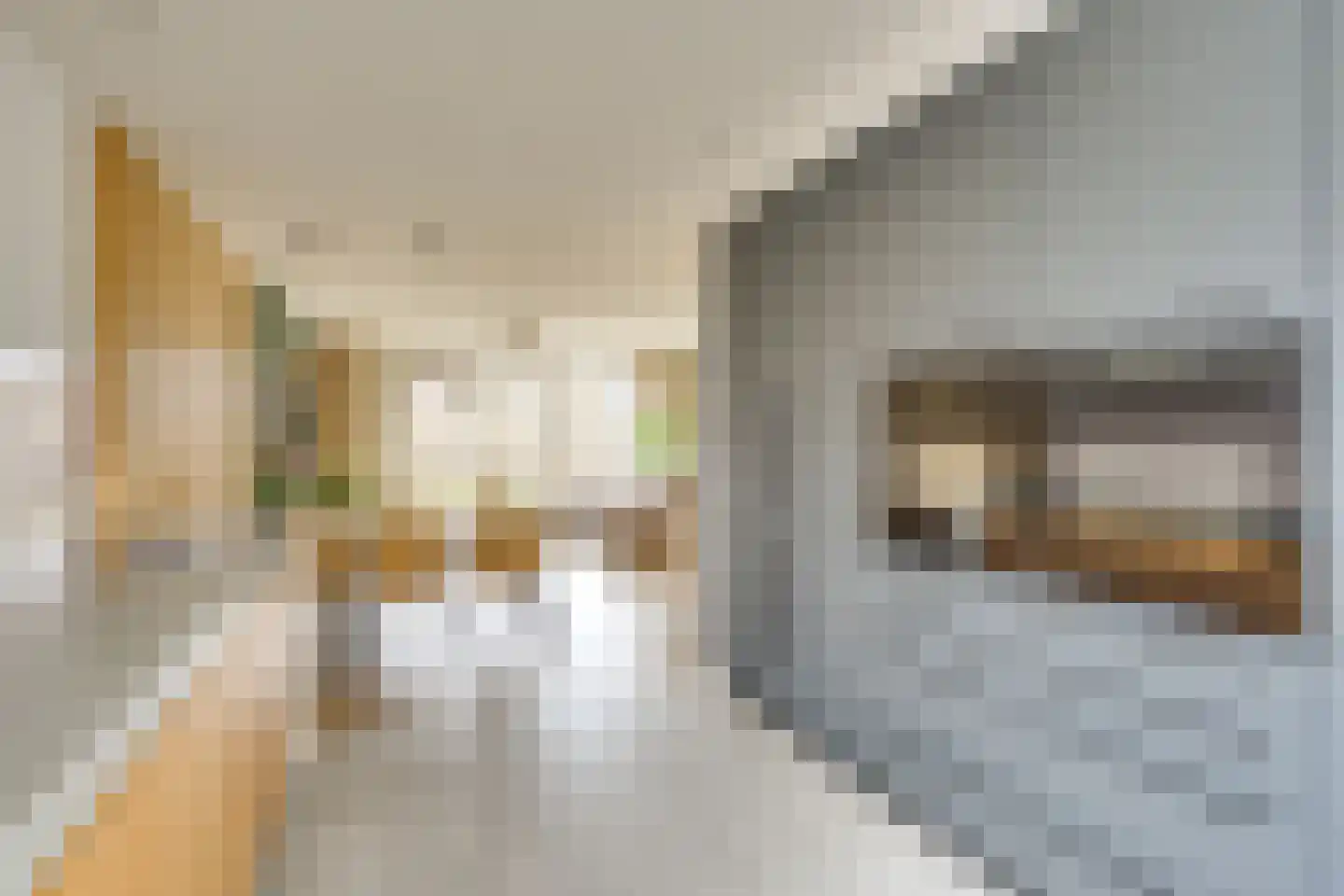 Fabriekslaan 5 Uden thumbnail 11