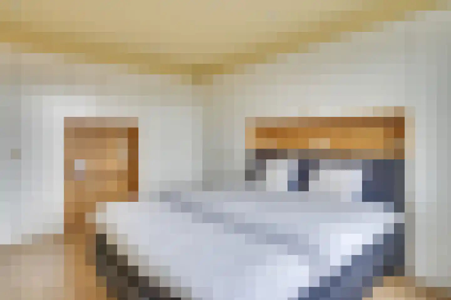 Fabriekslaan 5 Uden thumbnail 15