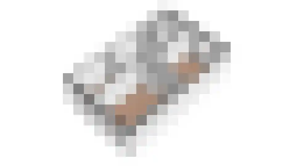 Fabriekslaan 5 Uden thumbnail 34