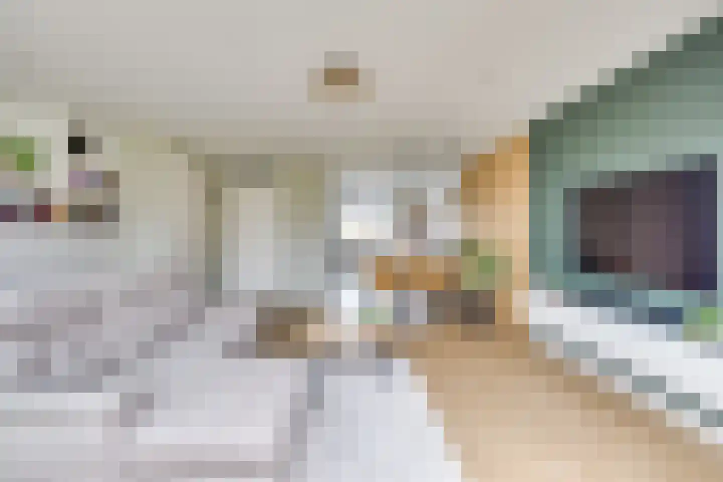 Fabriekslaan 5 Uden thumbnail 9
