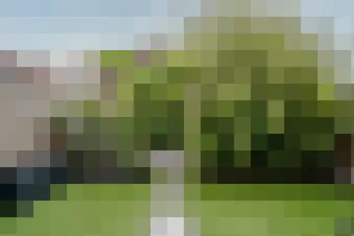 Fabriekslaan 9 Uden thumbnail 14