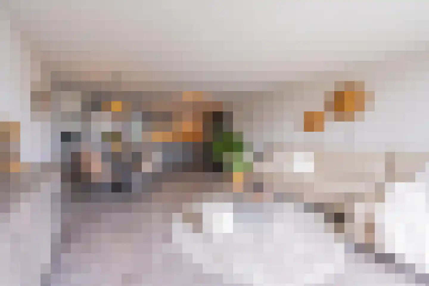 Fabriekslaantje 1 B13 Tiel thumbnail 28