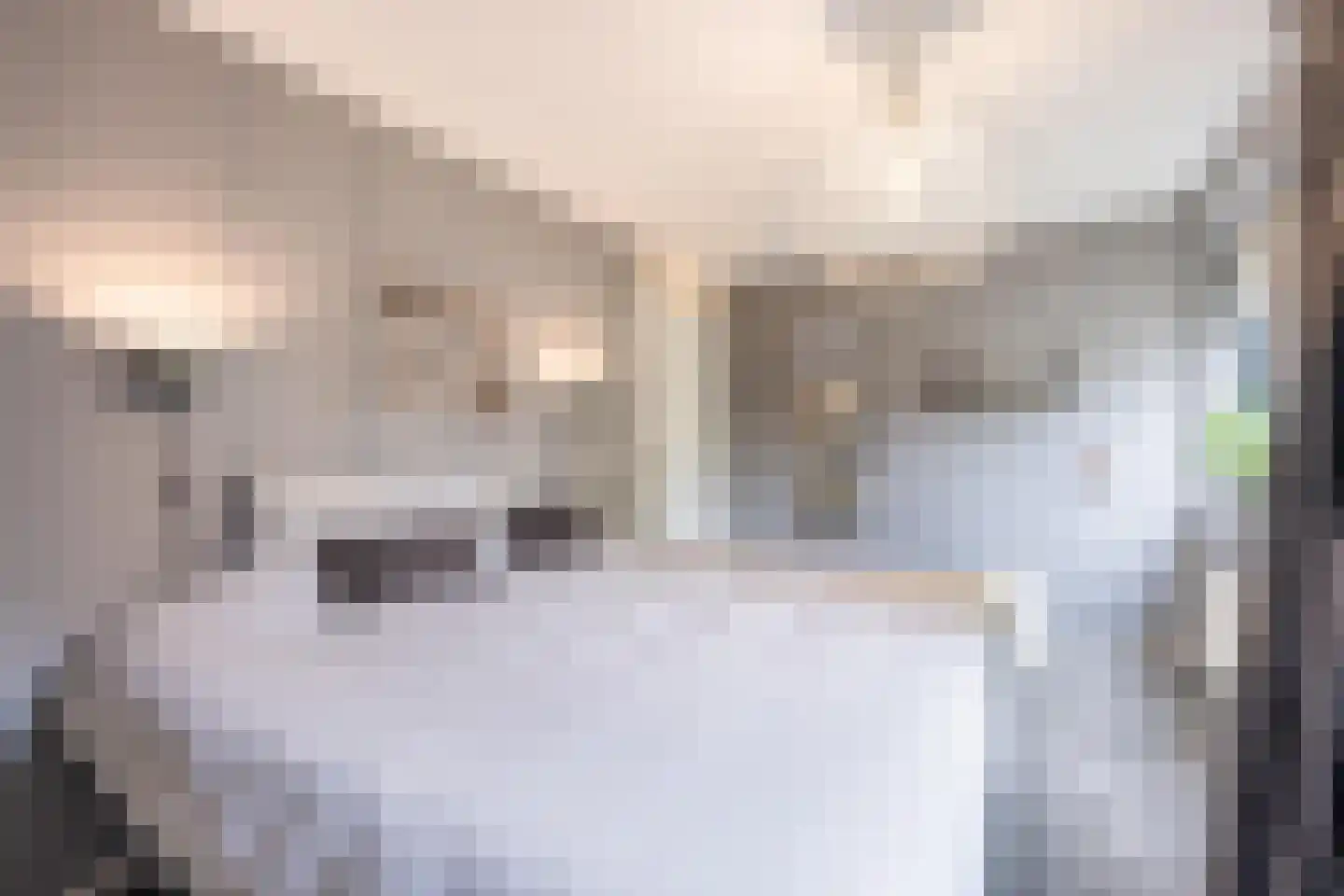 Fabriekslaantje 1 B13 Tiel thumbnail 39
