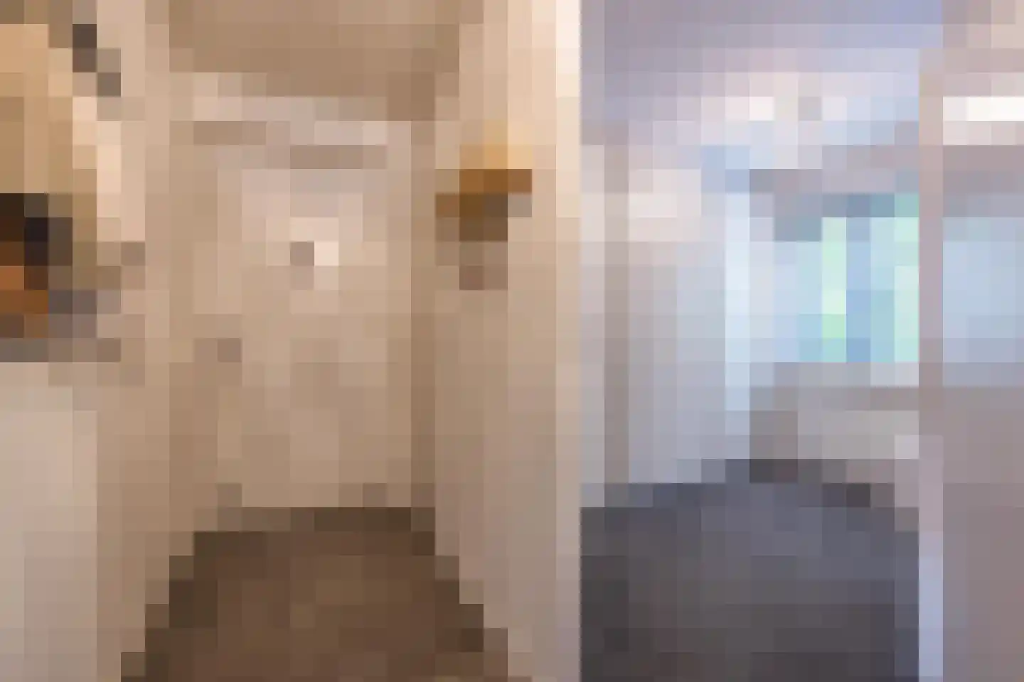 Fabriekslaantje 1 B13 Tiel thumbnail 40