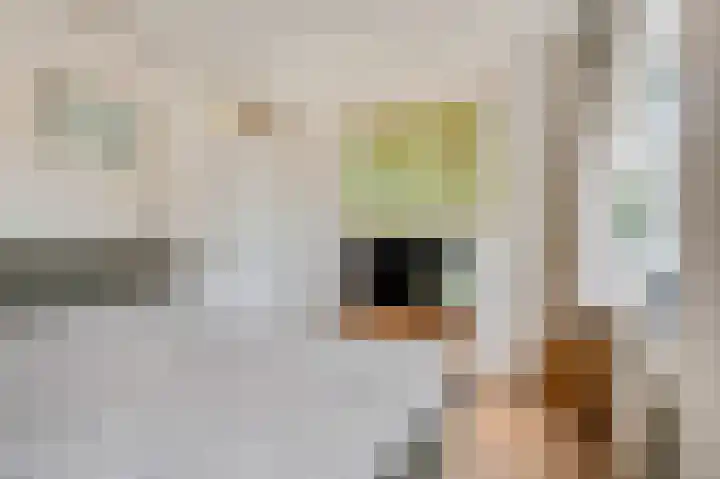 Fabriekslaantje 1 B22 Tiel thumbnail 18