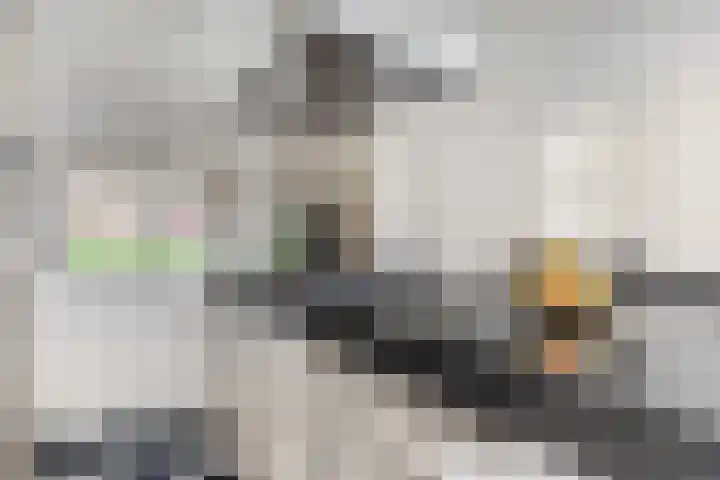 Fabriekslaantje 33 Tiel thumbnail 10